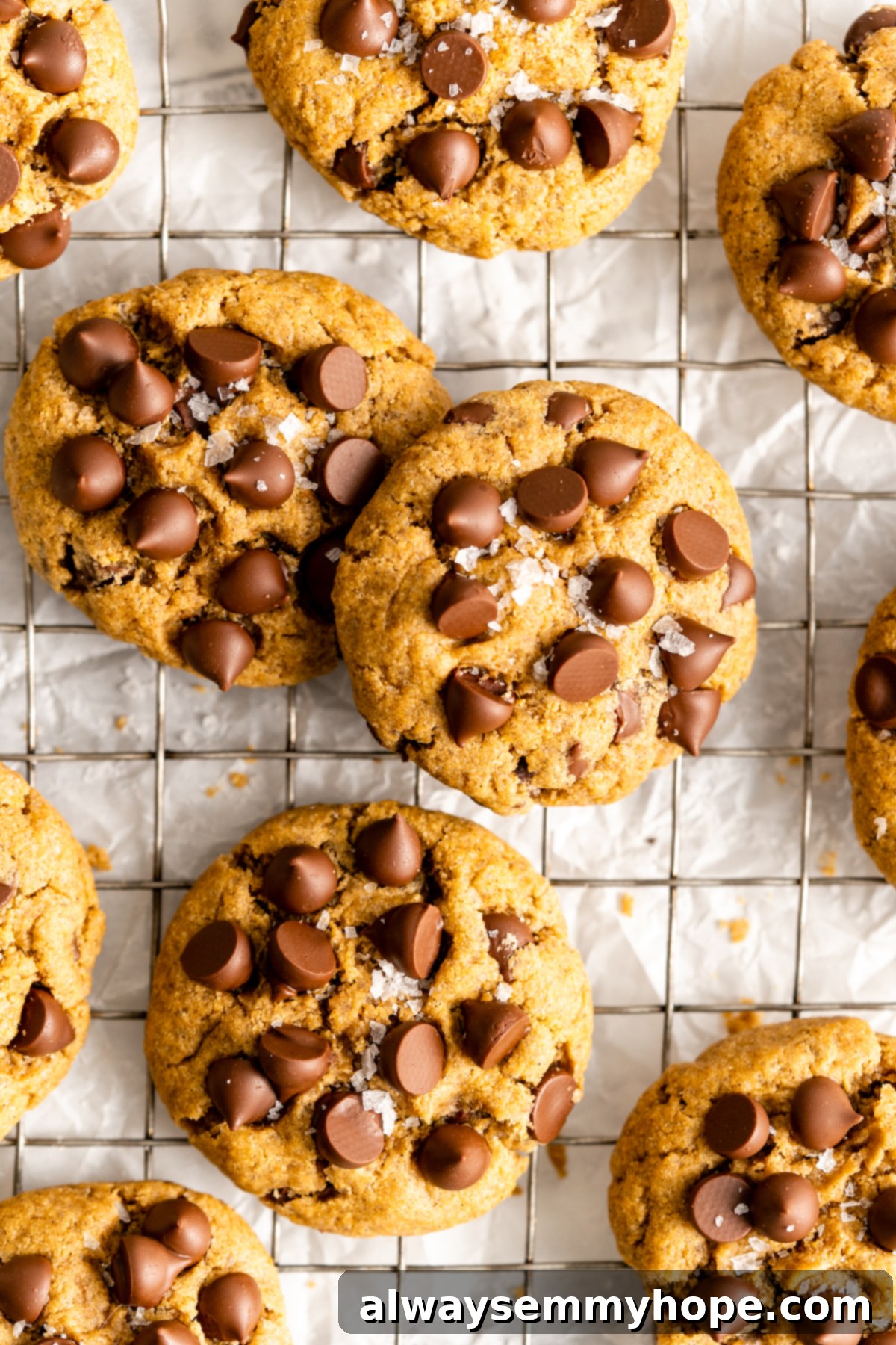 Mouthwatering Vegan Gluten-Free Chocolate Chip Cookies 1 featured 11275