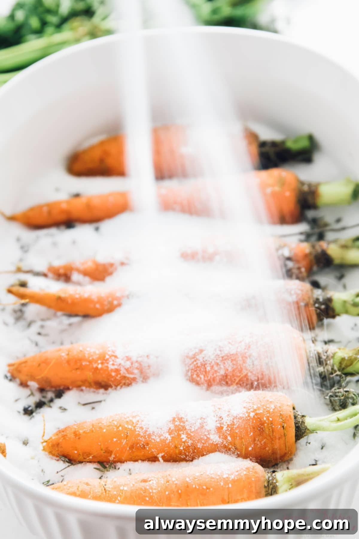 The Alchemy of Salt Roasted Carrots 1 featured 12187