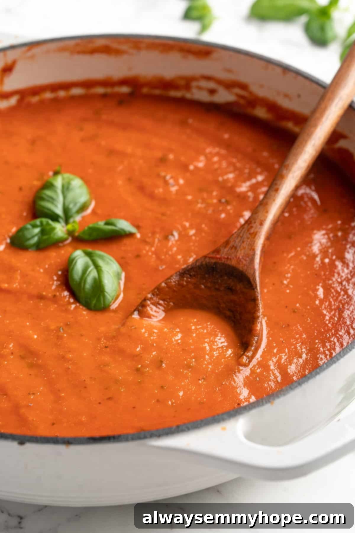 Garden Fresh Tomato Sauce 1 featured 13011