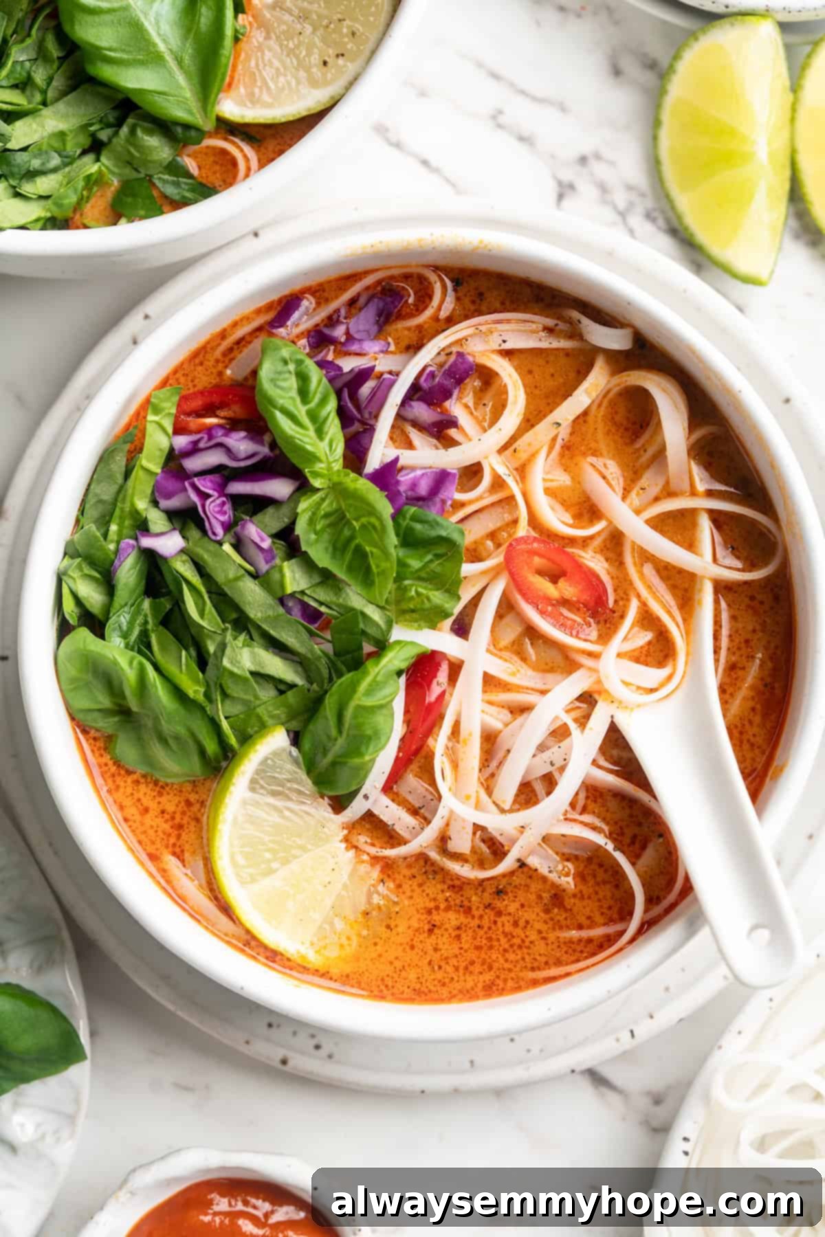 Siam Coconut Curry Bliss 1 featured 19038