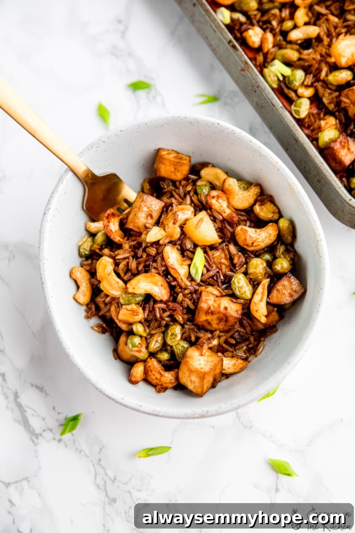 Plant-Based Fried Rice 1 featured 27764