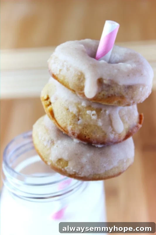 Cinnamon-Glazed Ginger Spice Doughnuts 1 featured 2822