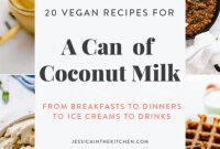 One Can, 20 Vegan Coconut Milk Recipes