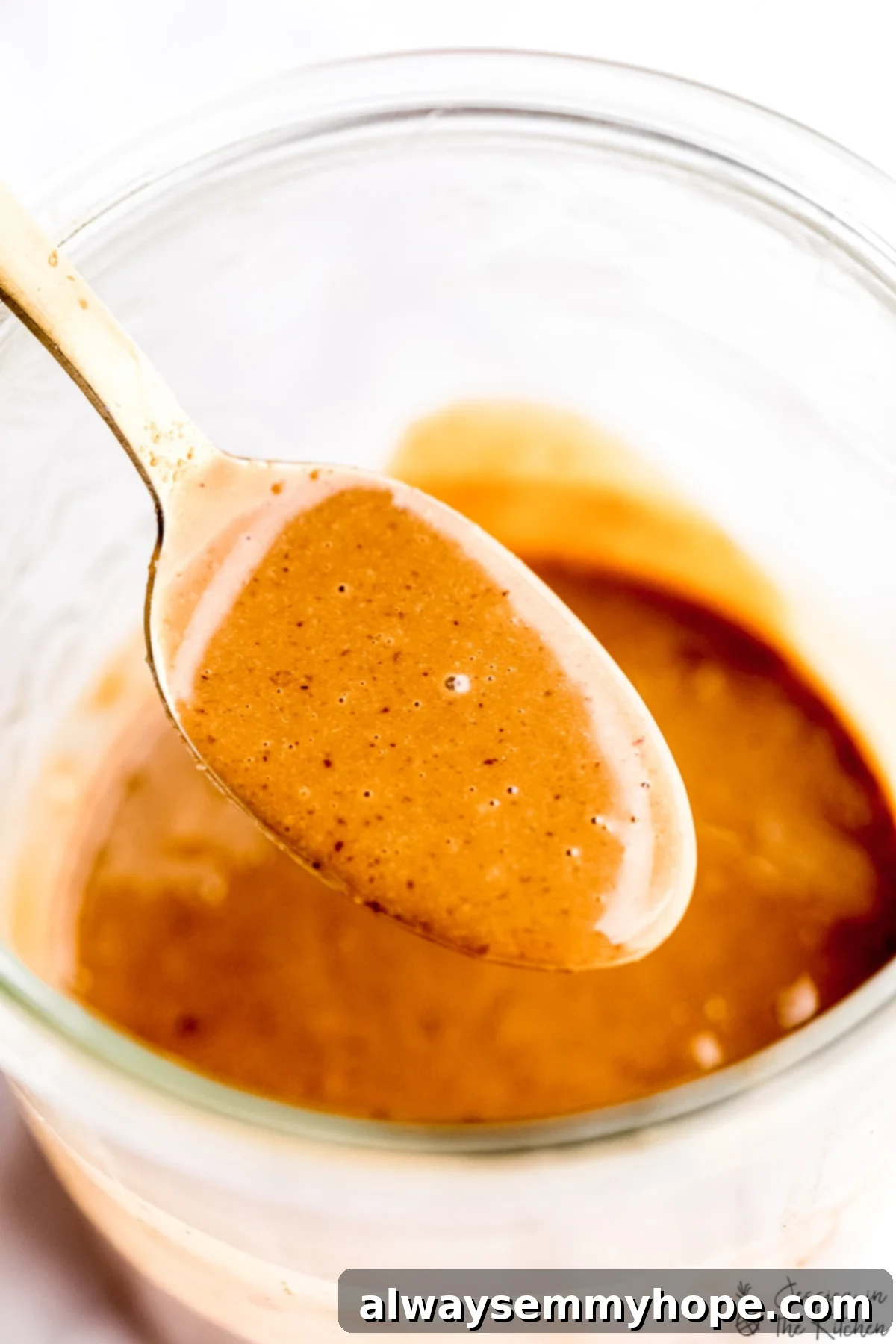 Creamy Thai Peanut Sauce 1 featured 29064