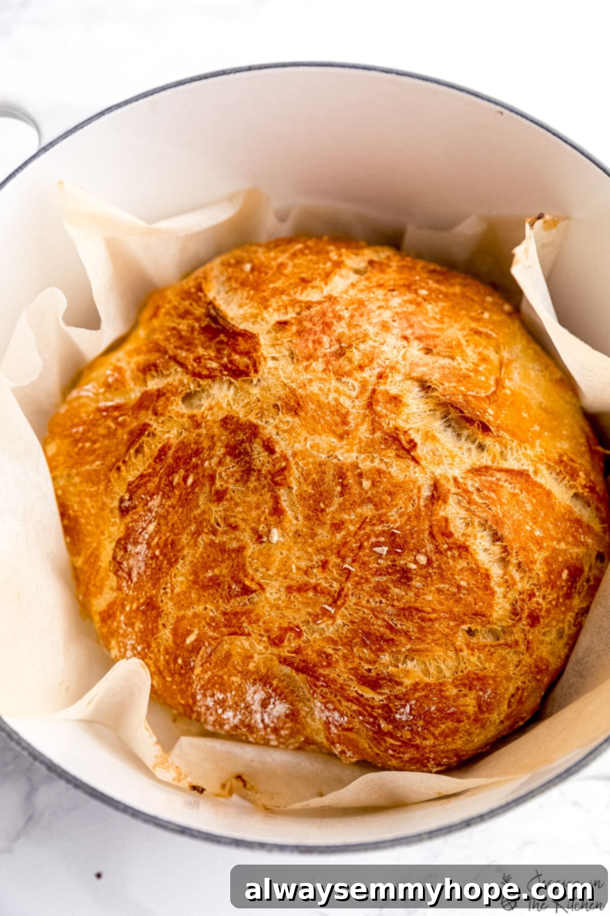 Effortless Dutch Oven Artisan Bread 1 featured 29221