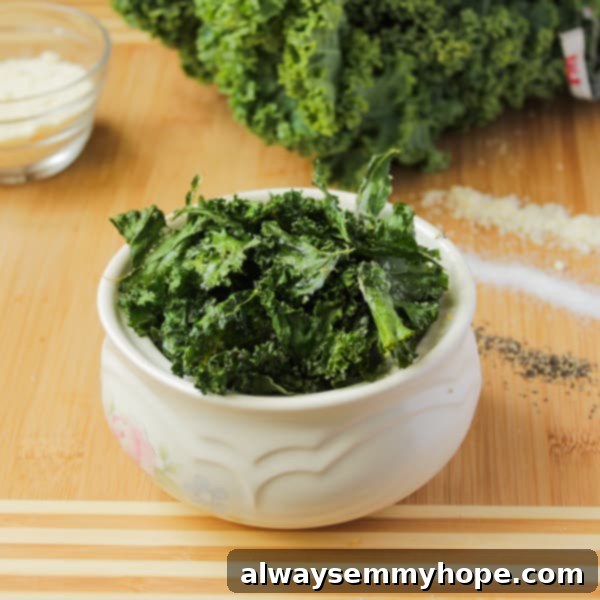 Three Delicious Kale Chip Flavors: Salty, Spicy, Cheesy 1 featured 3542