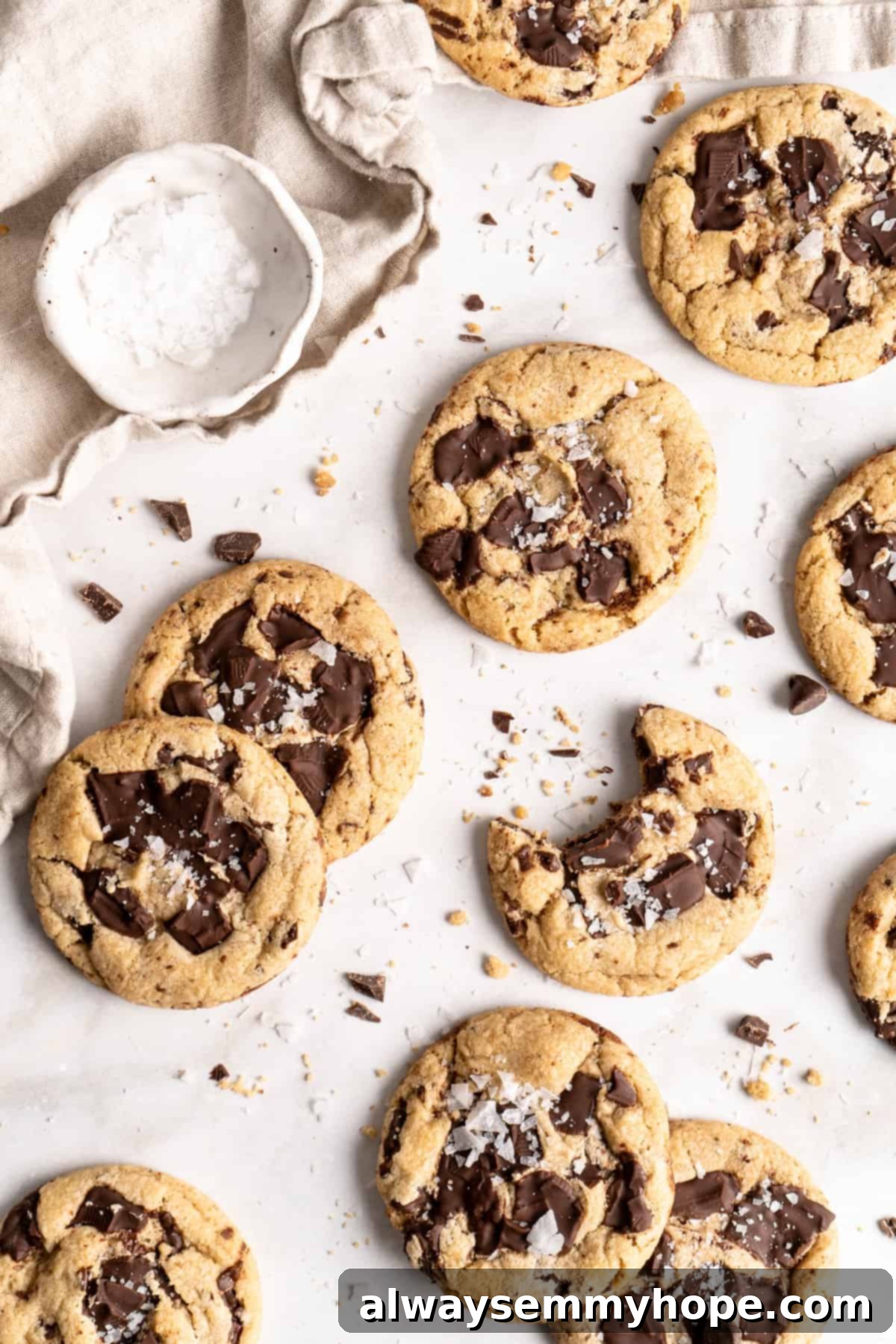 Plant-Based Chocolate Chip Bliss 1 featured 42017