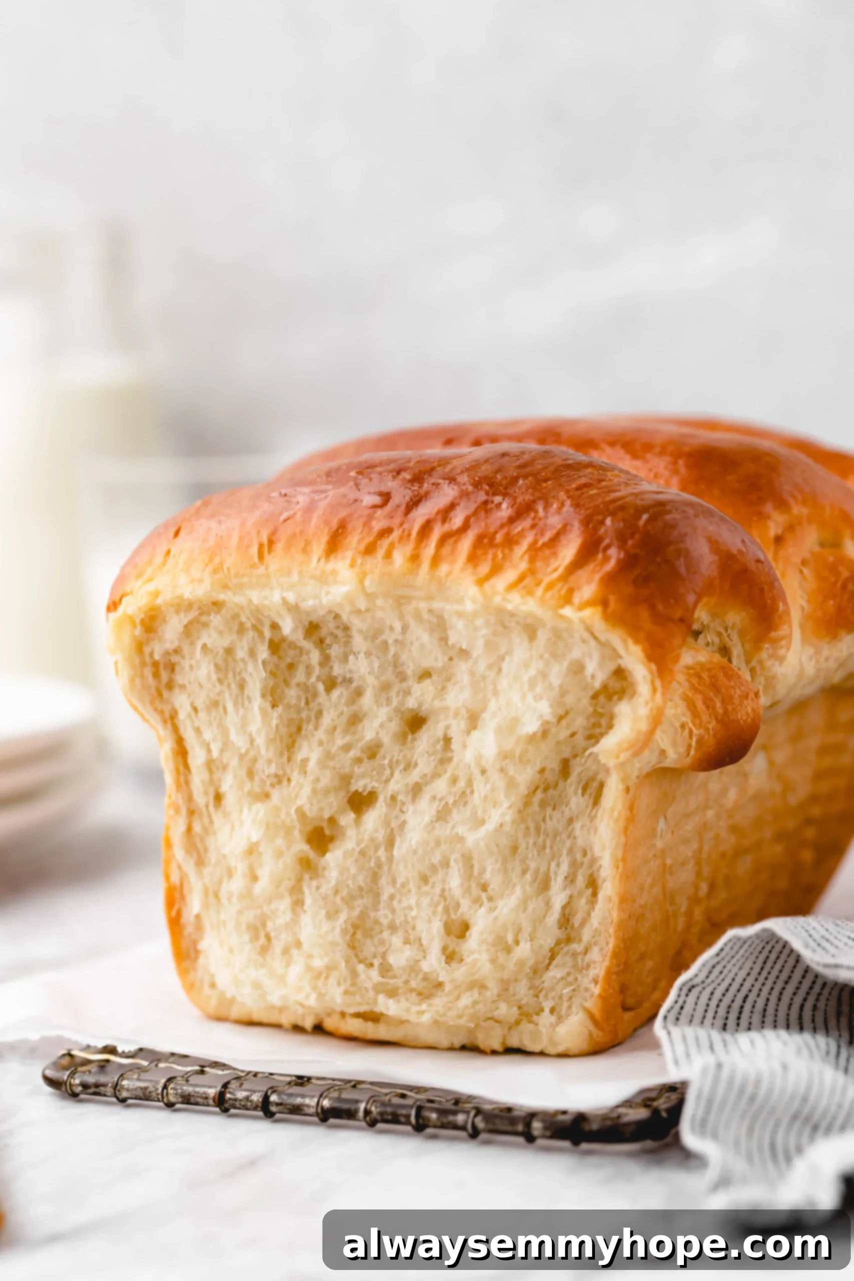 Fluffy Vegan Japanese Milk Bread 1 featured 47671 scaled