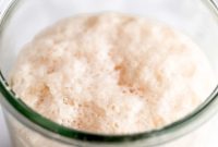 Is Yeast Actually Vegan