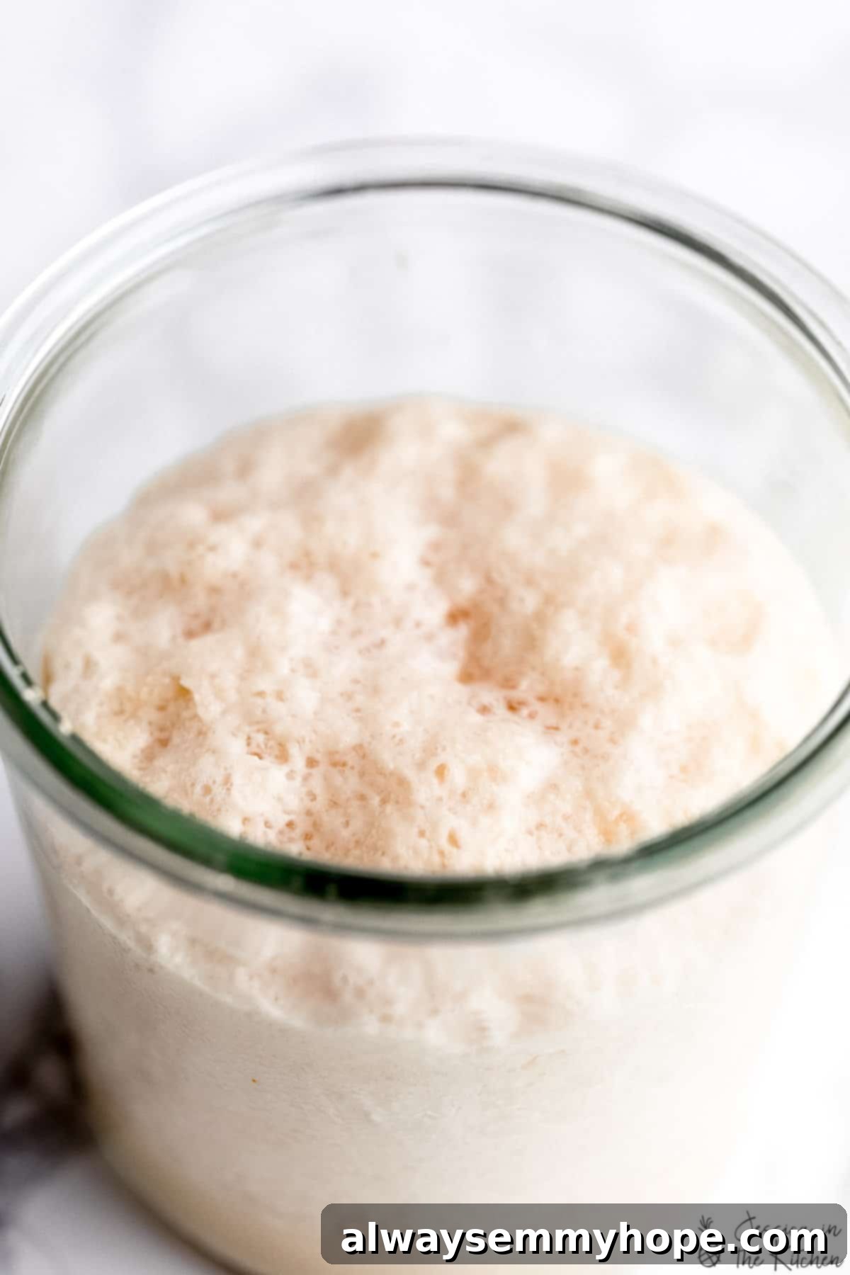 Is Yeast Actually Vegan 1 featured 50199