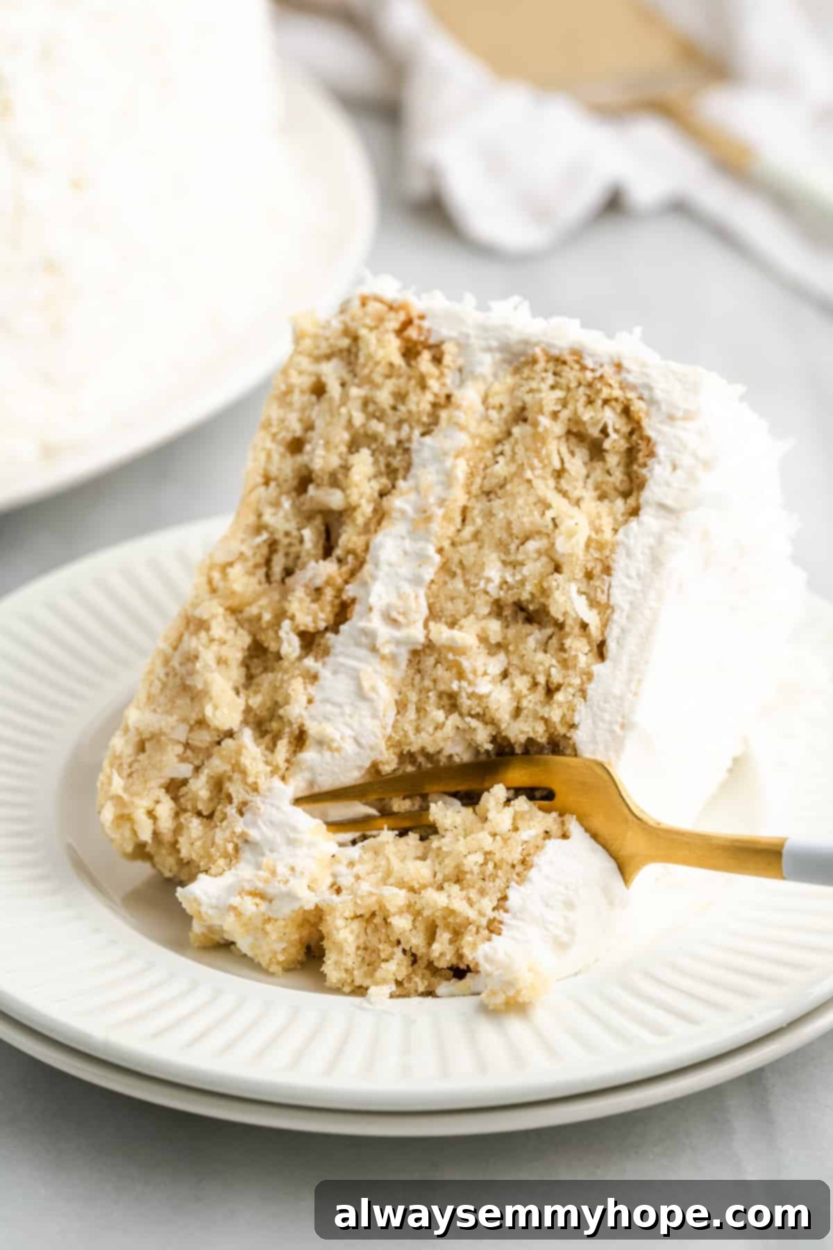Tropical Vegan Coconut Cake 1 featured 50467