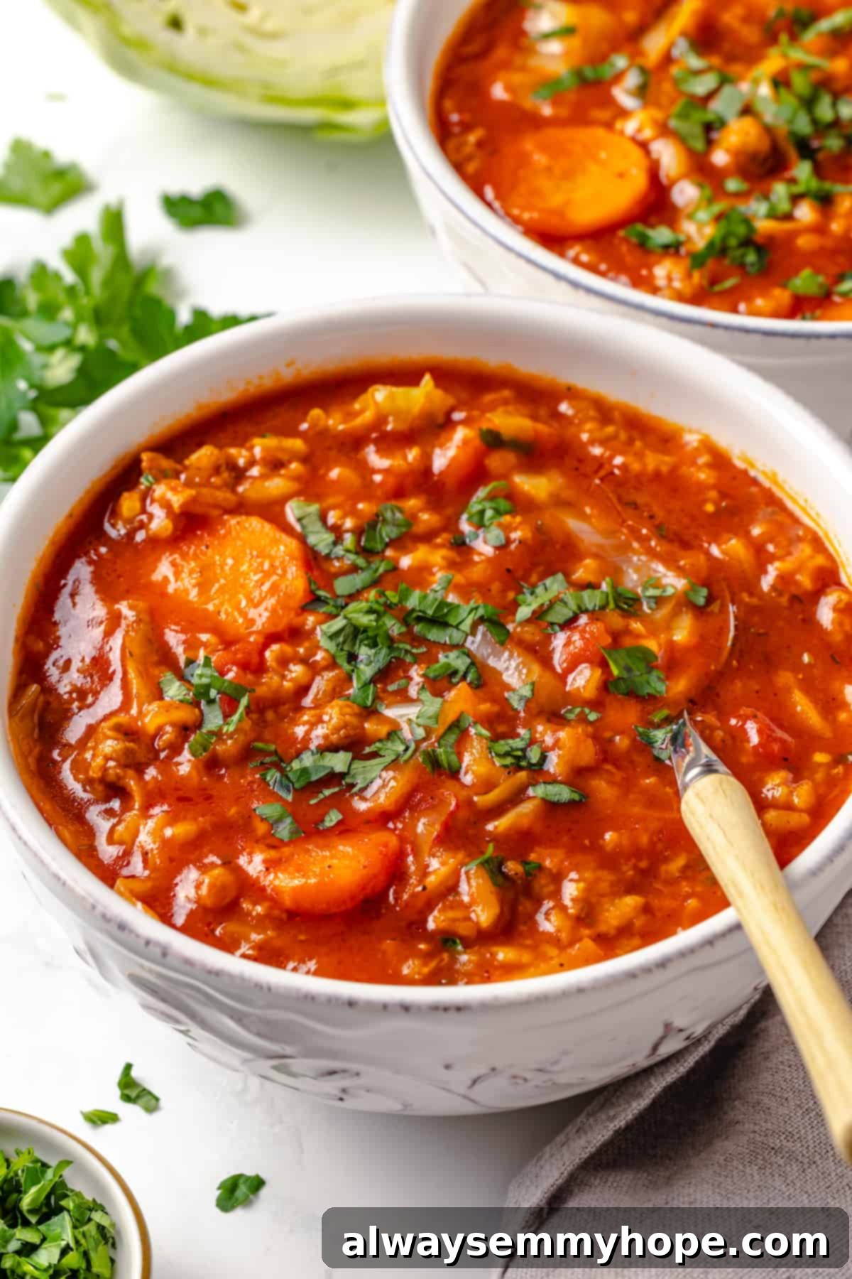 Lazy Cabbage Roll Soup 1 featured 59097