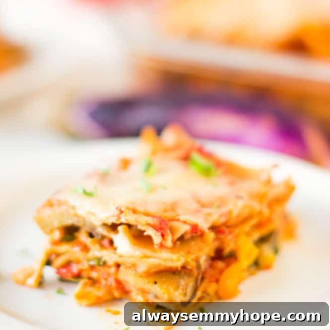 Garden Fresh Lasagna 1 featured 6414