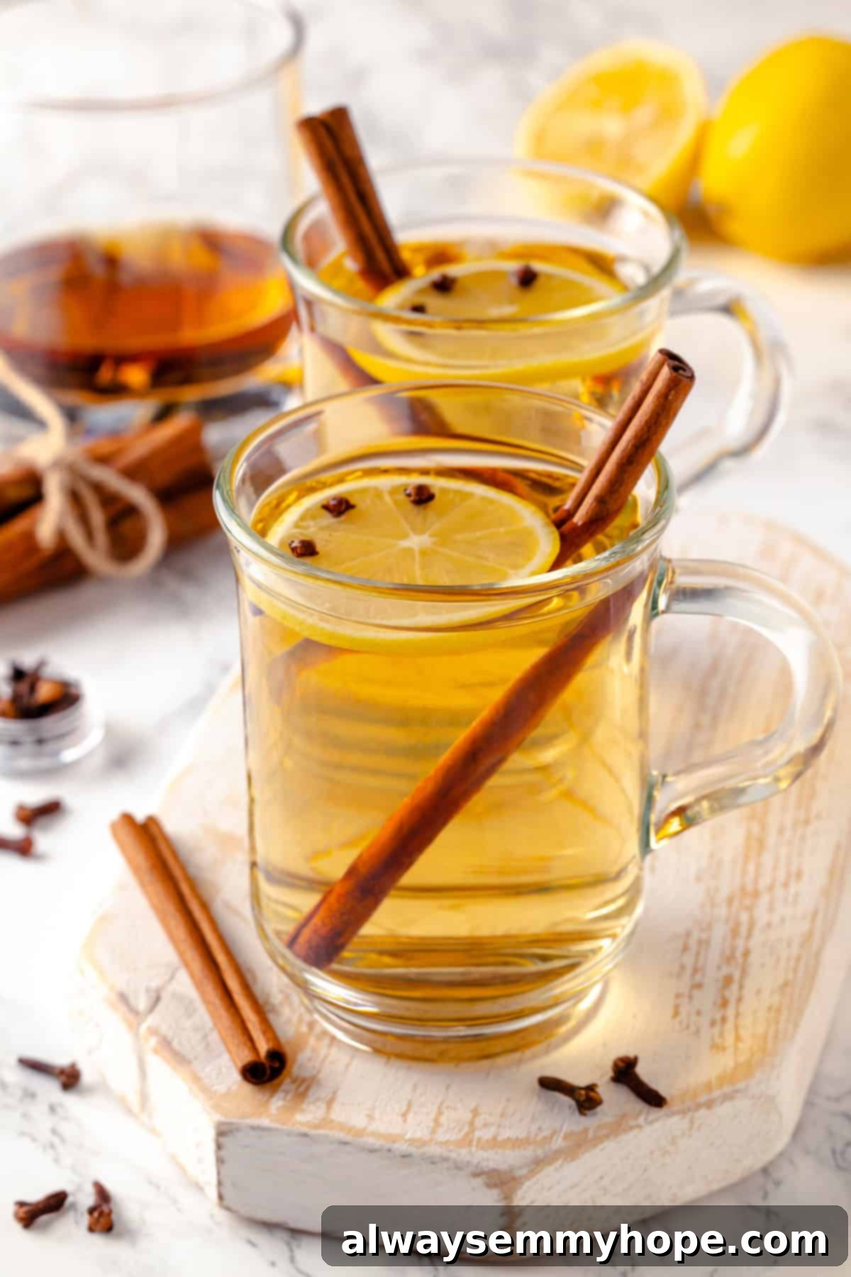 Classic Hot Toddy 1 featured 65526