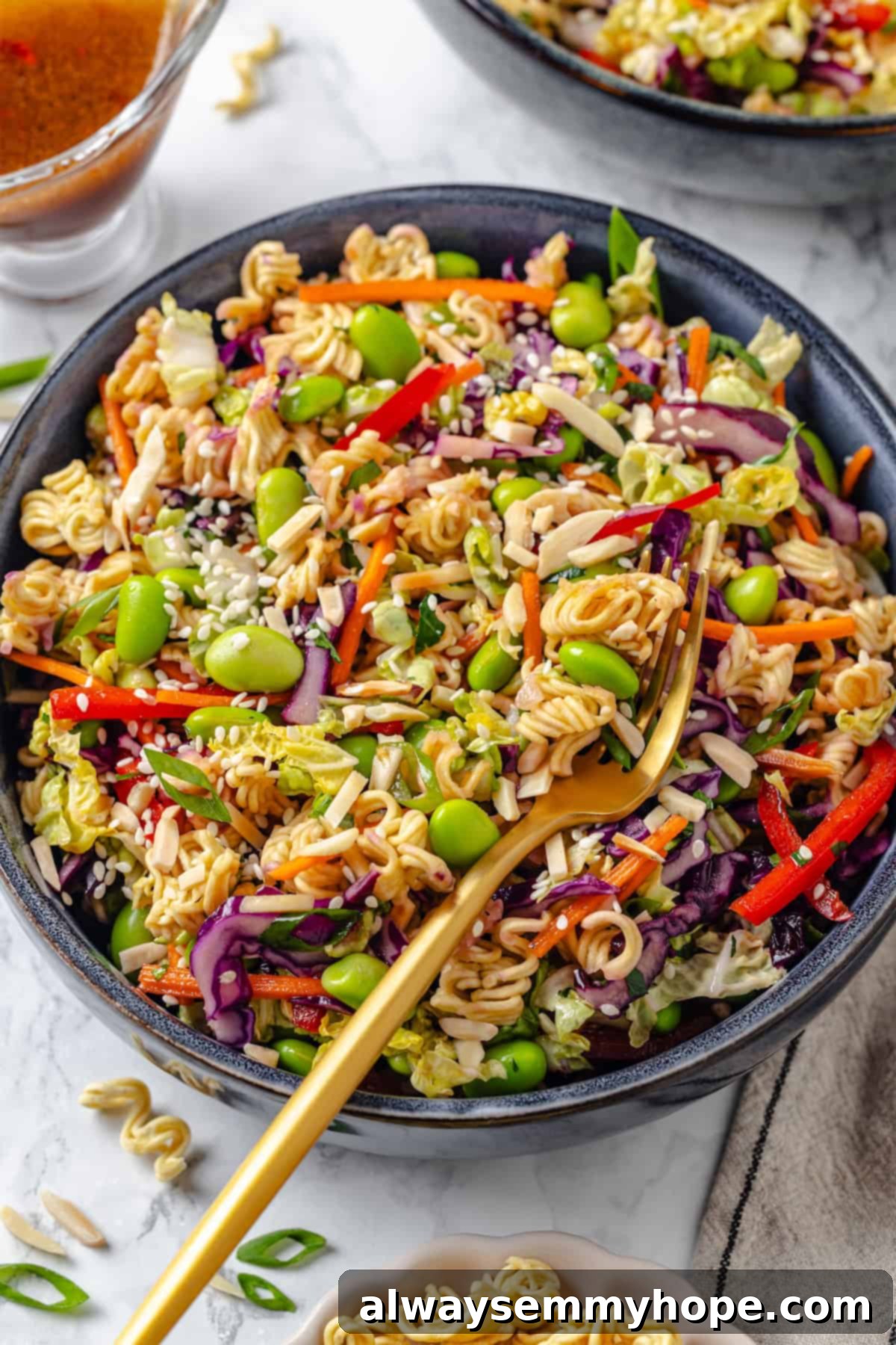 Crispy Ramen Noodle Salad 1 featured 68630 1