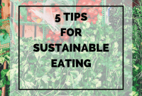 Sustainable Eating Made Easy 5 Tips