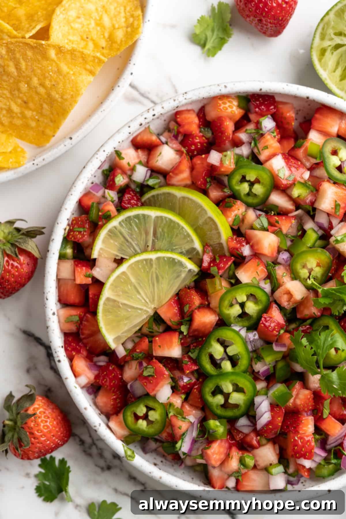 Fresh Strawberry Salsa 1 featured 9855