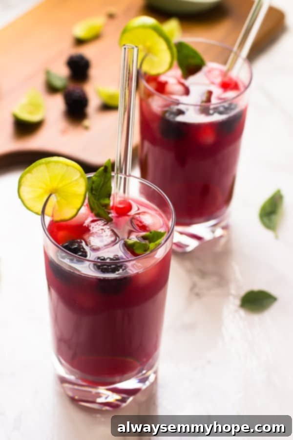 A couple of glasses of vibrant blackberry limeade garnished with fresh lime sprigs, perfect for a hot day.