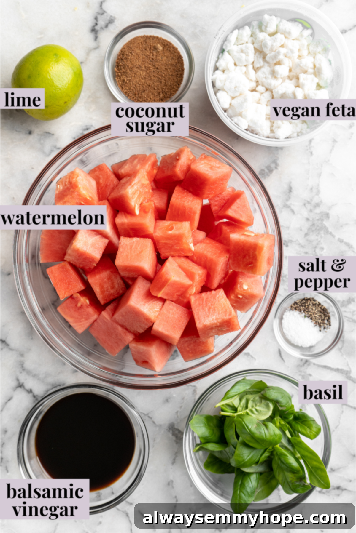 Overhead view of ingredients for vegan watermelon feta salad with labels