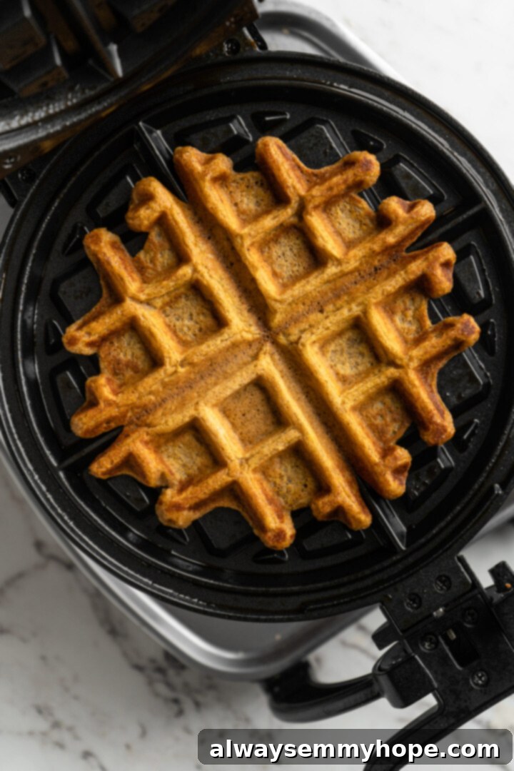 These easy vegan pumpkin waffles are light, fluffy, and crispy, with your favorite fall flavors, and can easily be made gluten-free. A pumpkin waffle in a waffle iron