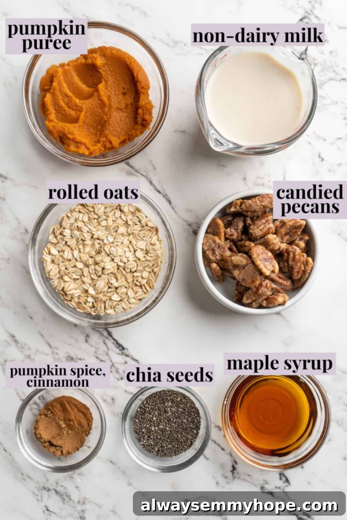 ingredients to make pumpkin pie overnight oats laid out on a table