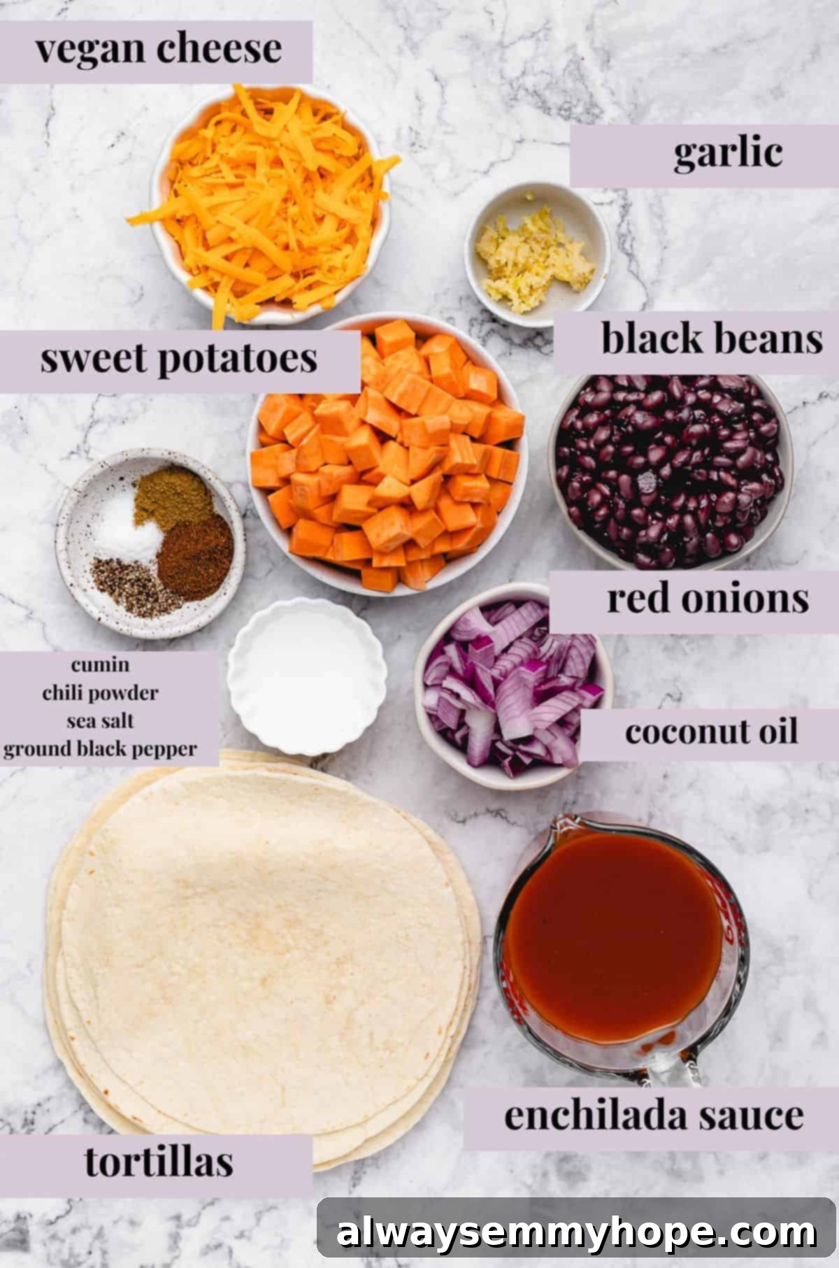 ingredients for making enchiladas