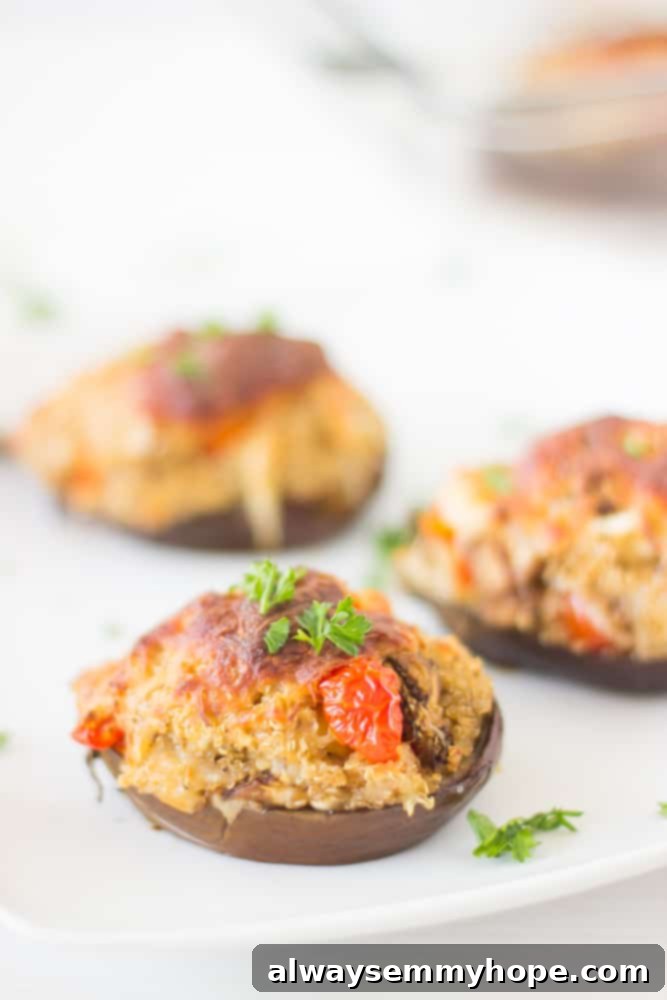 Delicious cheesy quinoa stuffed eggplants, baked to perfection with herbs and spices.