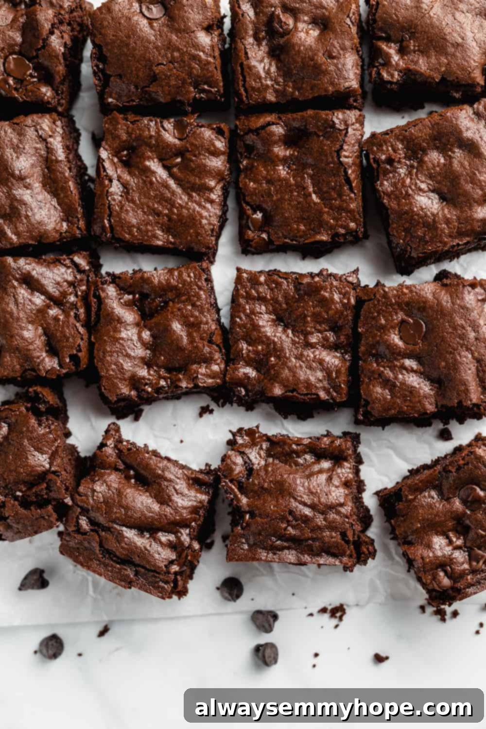 Chewy and Fudgy Vegan Brownies 3 A plate of 12 rich vegan chocolate chip brownies.