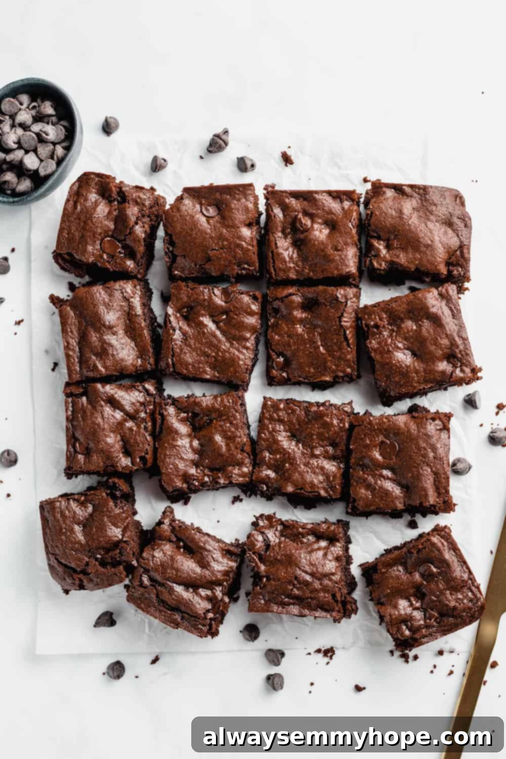 Chewy and Fudgy Vegan Brownies 9 Perfectly cut vegan brownies arranged in neat squares.