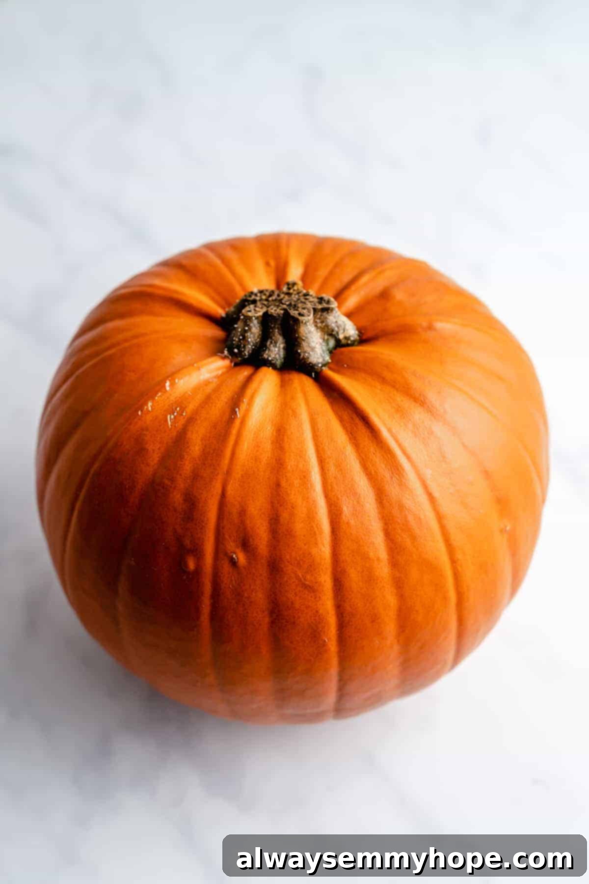 A perfectly ripe, orange sugar pumpkin resting on a wooden surface, ready to be transformed into delicious homemade puree.