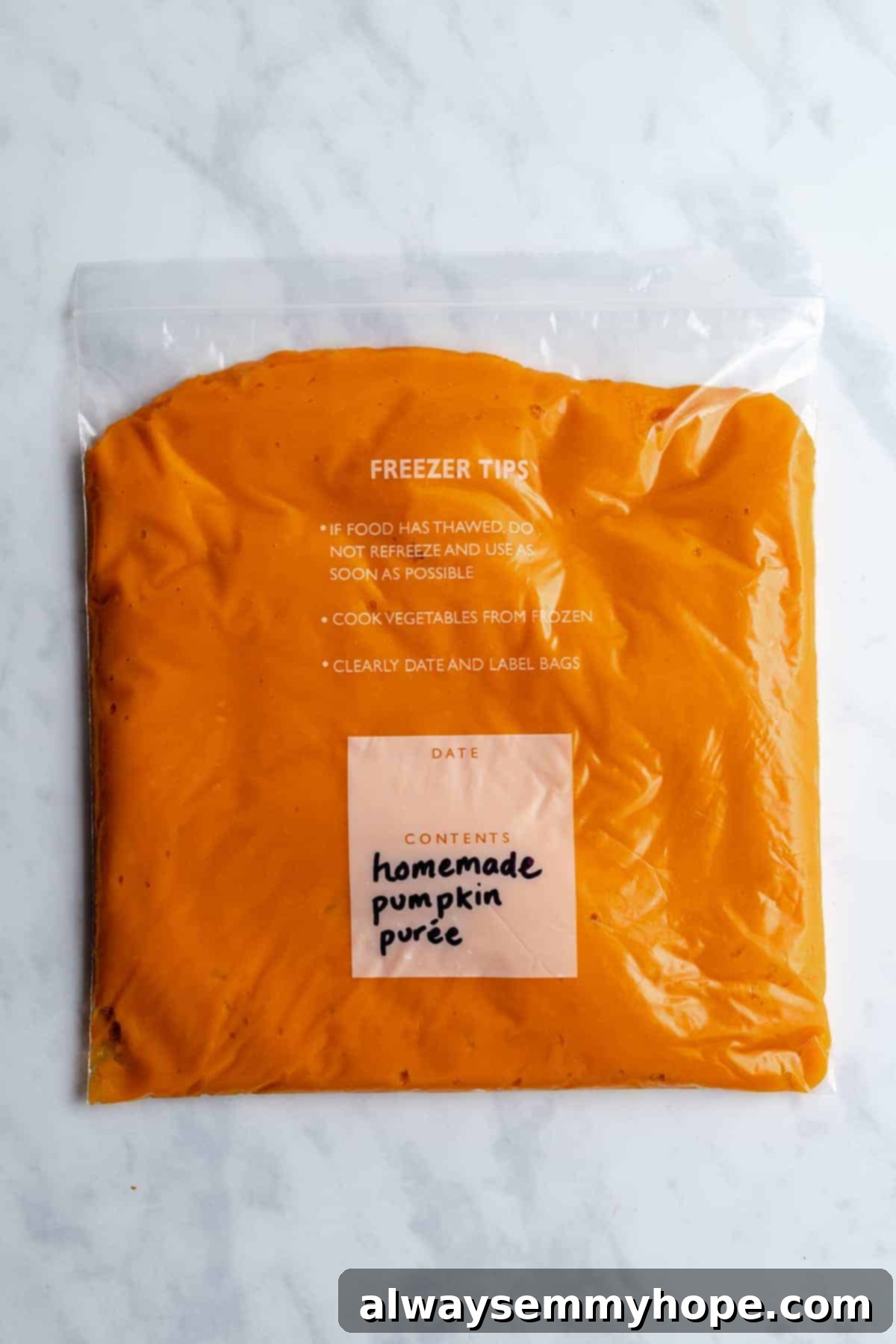 Freshly made pumpkin puree stored in a clear freezer bag, laid flat to optimize freezer space.