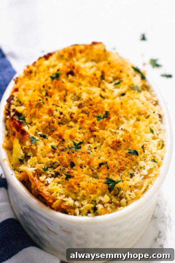 Loaded with fall flavour and a creamy, decadent texture, this Vegan Pumpkin Mac and Cheese is the perfect fall side dish. A top-down shot of a golden-brown baked pumpkin mac and cheese, featuring a crispy breadcrumb topping.