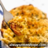 Creamy Vegan Pumpkin Mac and Cheese One Pot 2 A fork digging into a warm bowl of creamy, baked vegan mac and cheese, showcasing the texture.