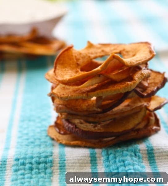 A stack of perfectly crisp apple cinnamon chips, golden brown and lightly spiced.