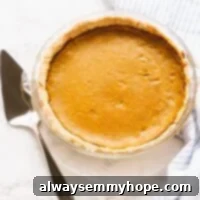 Overhead shot of pumpkin pie with gluten free crust.