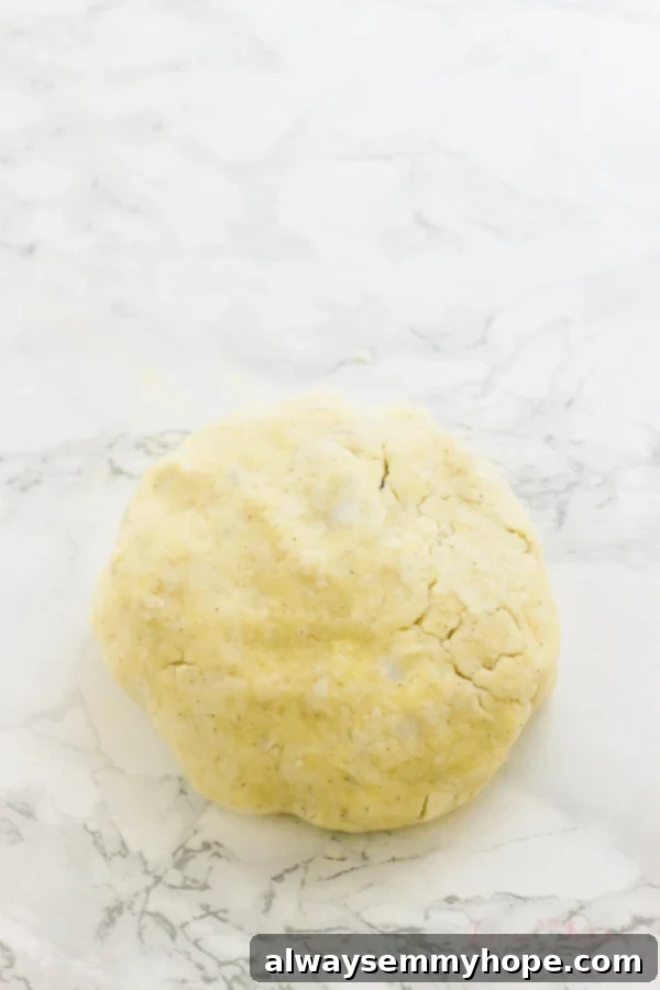 A smooth, round disk of gluten-free vegan pie crust dough wrapped in plastic wrap, ready for chilling.