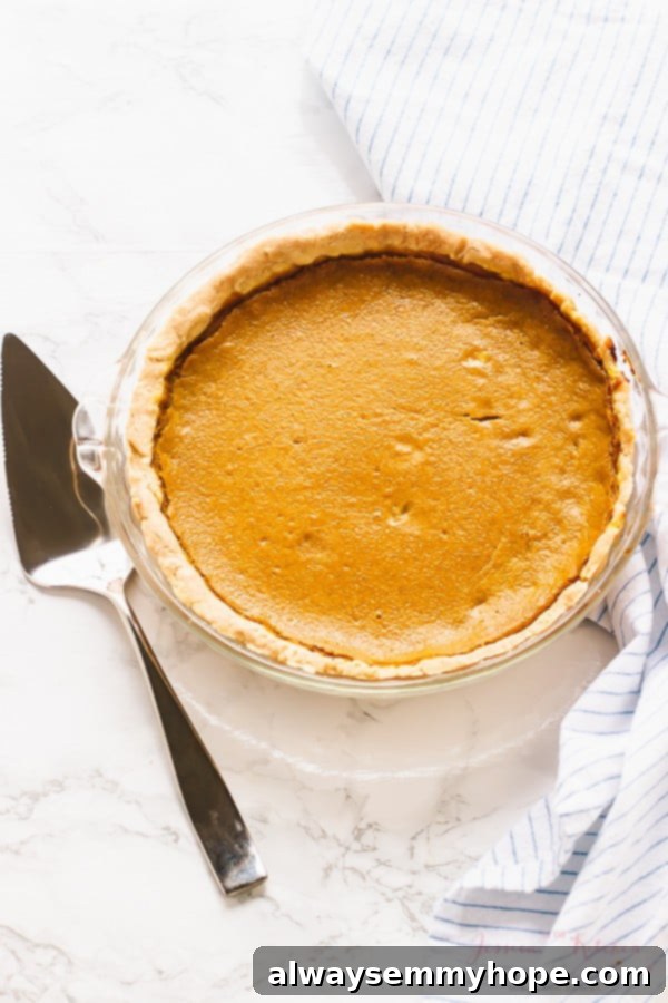 Overhead shot of a perfectly baked vegan pumpkin pie with a golden, flaky gluten-free crust.