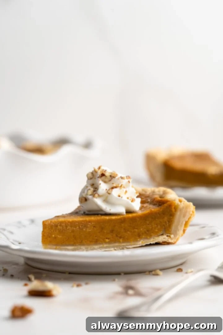 Easy 9-Ingredient Vegan Pumpkin Pie 13 A slice of pumpkin pie with cream on top.