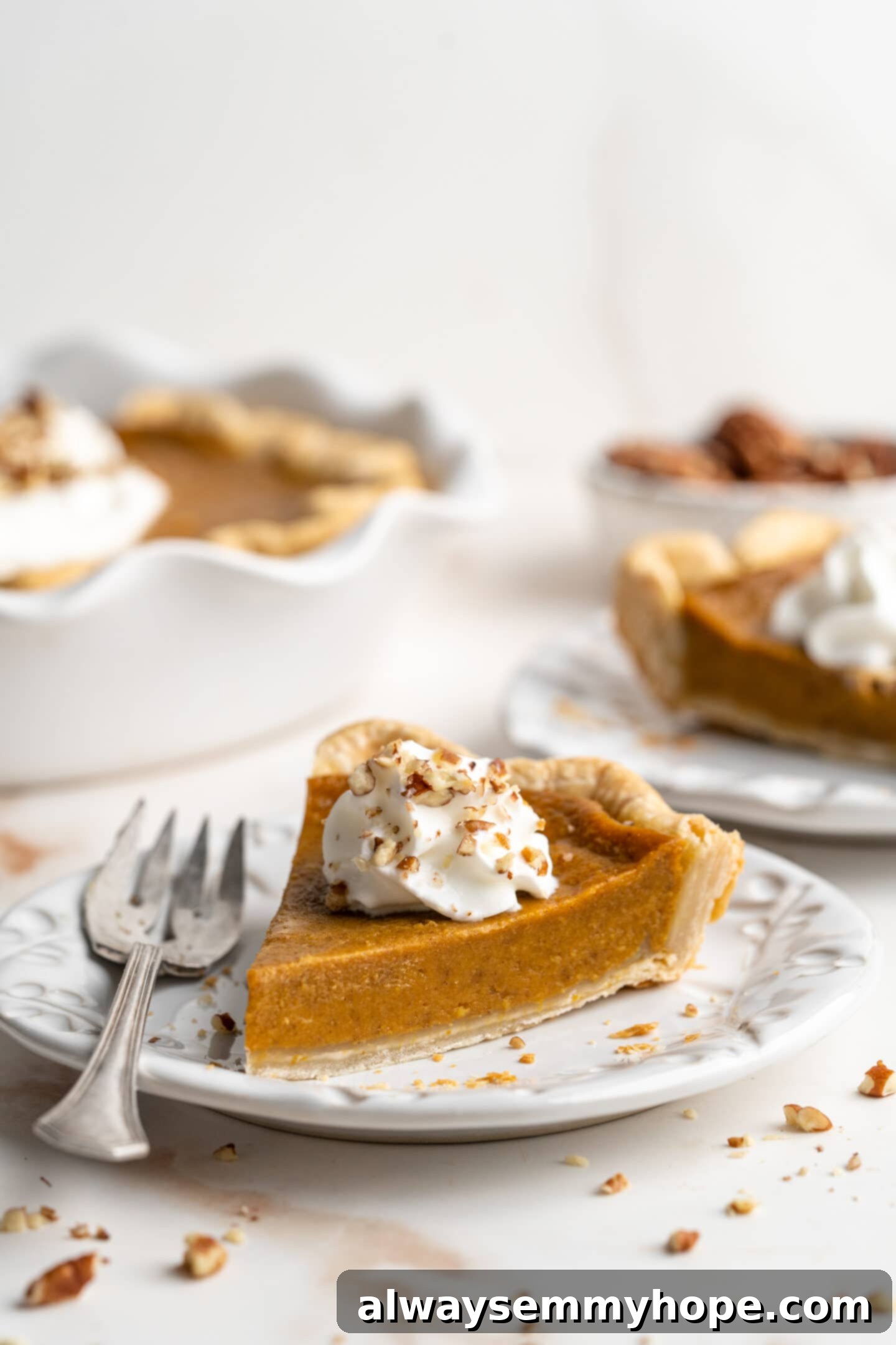 This homemade vegan pumpkin pie is perfectly silky, and tastes just like the traditional version! It's the best Thanksgiving dessert! A slice of pumpkin pie with cream on top.