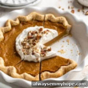 Easy 9-Ingredient Vegan Pumpkin Pie 15 front angled shot of sliced pumpkin pie in a pie dish.