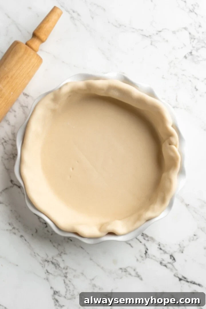 Easy 9-Ingredient Vegan Pumpkin Pie 4 pie crust placed in pie dish.