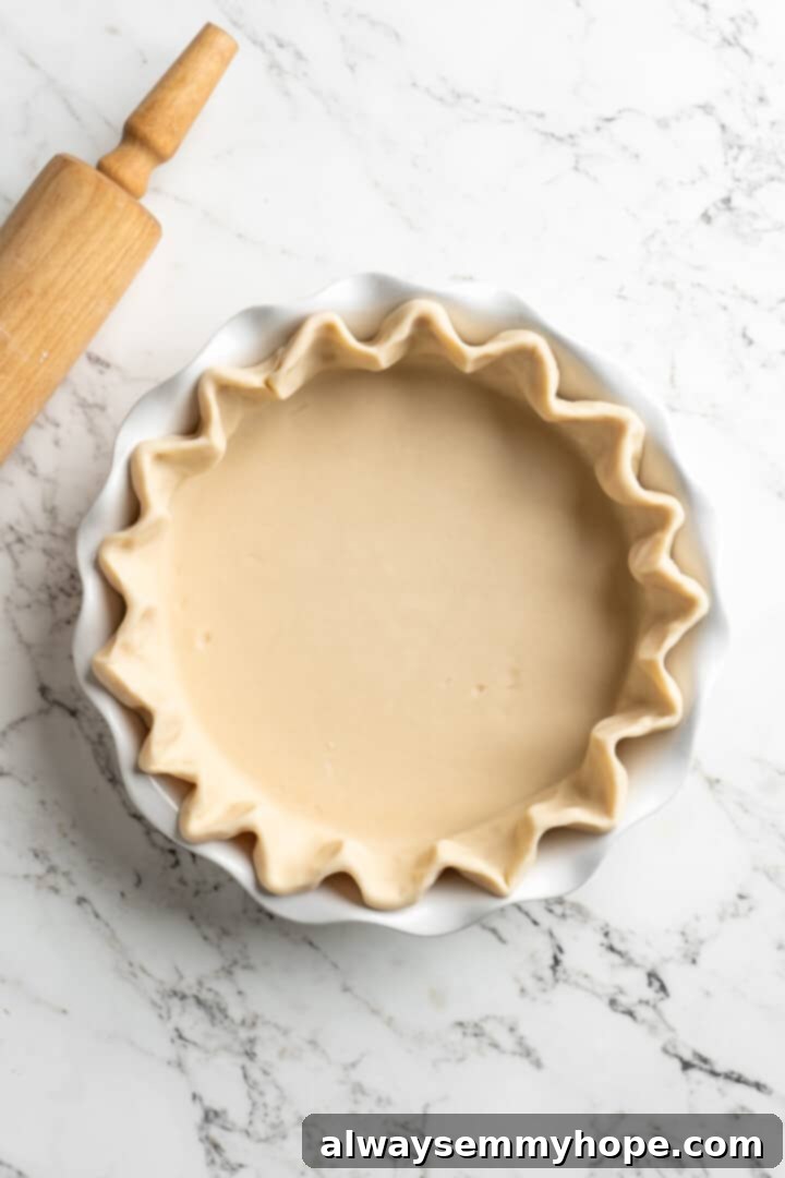 Easy 9-Ingredient Vegan Pumpkin Pie 5 unbaked pie crust shaped in pie dish,