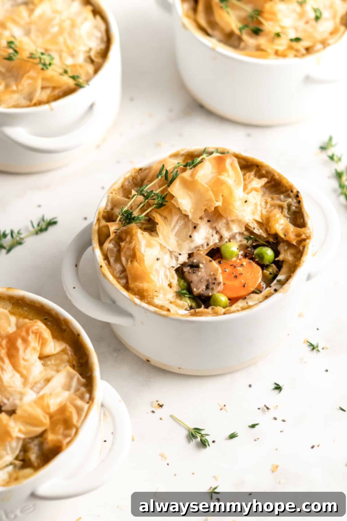 The Best Vegan Pot Pie – Easy, 1-Hour Recipe! A trio of perfectly baked vegan pot pies in white ramekins, with the center pie offering a peek at the rich, bubbly filling underneath its golden crust.