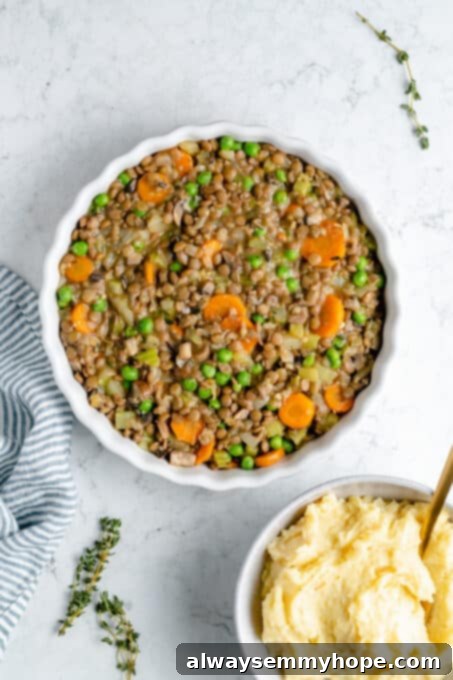 Hearty Vegan Shepherd's Pie 10 Overhead shot of the savory Vegan Shepherd's Pie filling neatly spread into a casserole dish, ready for the mashed potato topping
