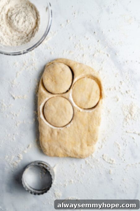 Vegan biscuit dough on a floured surface with three perfectly round biscuits already cut out, revealing the remaining dough.