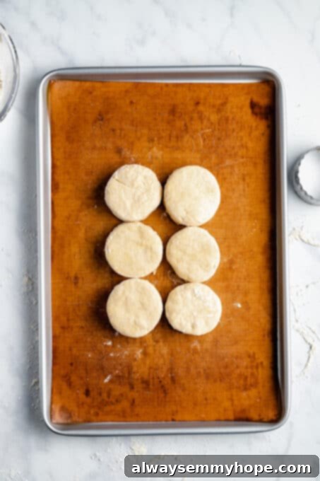 Three unbaked vegan biscuits neatly arranged on a baking sheet lined with a silicone mat, ready for the oven.