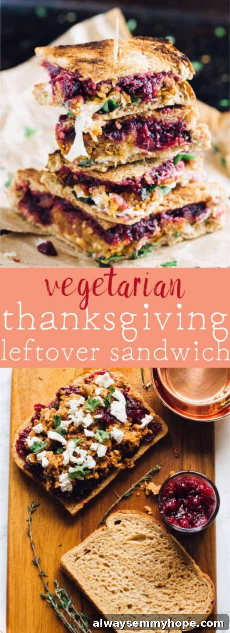 Thanksgiving's Vegetarian Encore: Meatloaf & Cranberry Sandwich 7 This Vegetarian Meatloaf and Cranberry Thanksgiving Leftover Sandwich is the perfect way to use up your Thanksgiving leftovers! Loaded with lots of flavour, so easy and so delicious! via https://jessicainthekitchen.com
