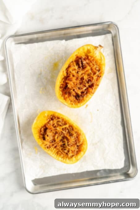 Overhead view of two spaghetti squash halves stuffed with lasagna