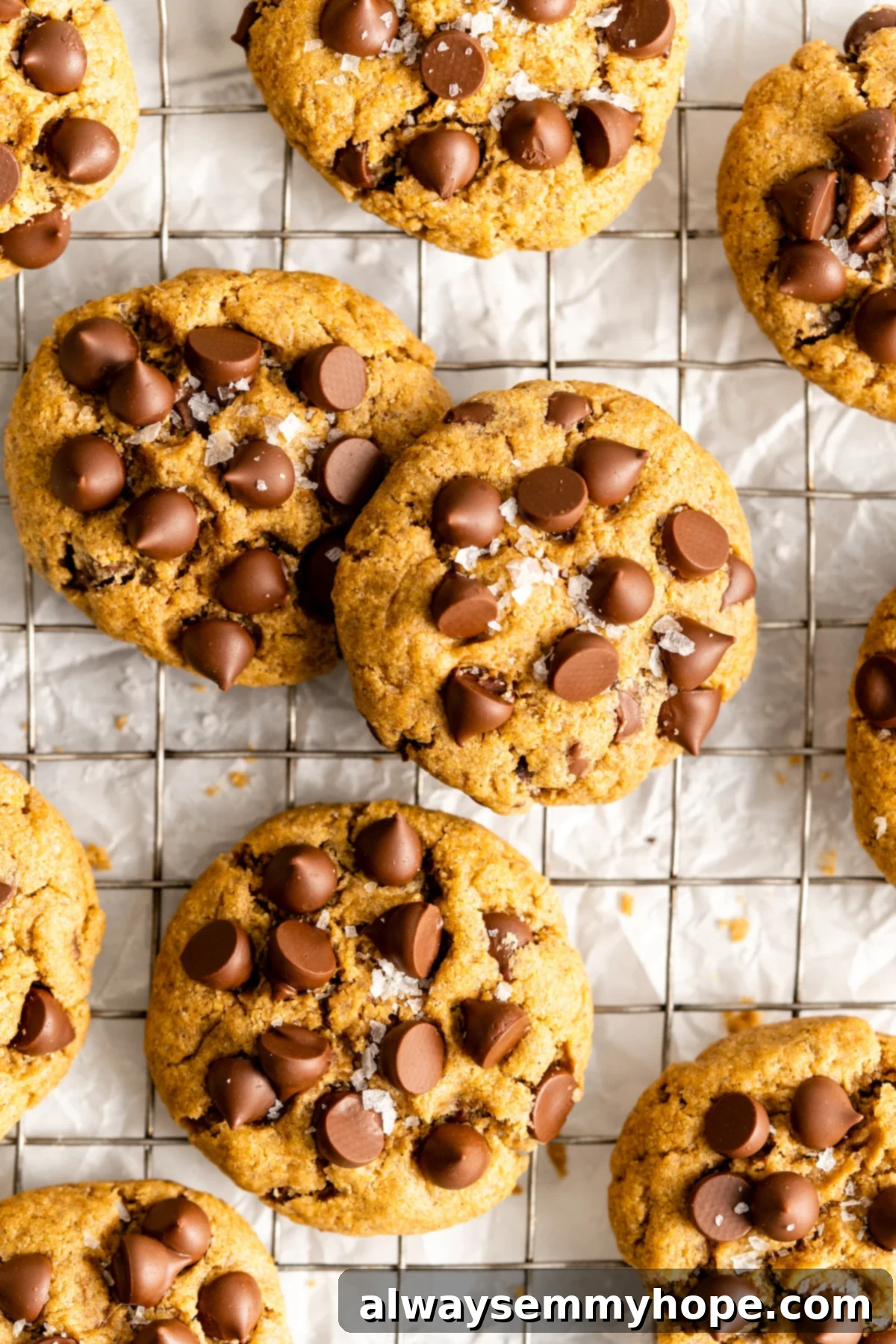 These vegan gluten-free chocolate chip cookies are an easy one-bowl recipe! Make soft, chewy, bakery-style cookies loaded with chocolate. Close up overhead view of vegan gluten-free chocolate chip cookies in a wire rack.