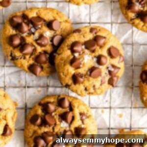 Mouthwatering Vegan Gluten-Free Chocolate Chip Cookies 2 Close up overhead view of vegan gluten-free chocolate chip cookies in a wire rack.